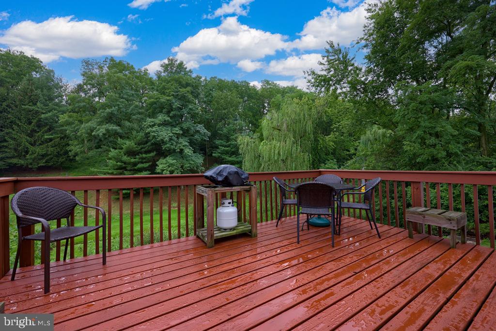342 Knights Bridge Way Lititz, PA 17543 - Photo 23 of 46 Rear Deck
