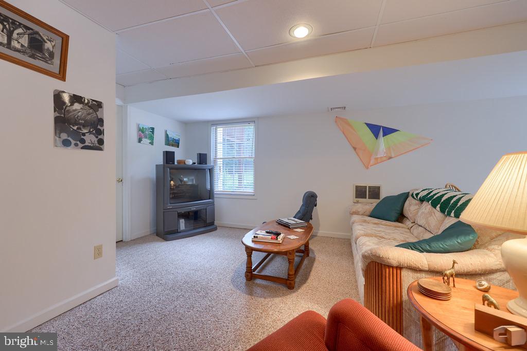 342 Knights Bridge Way Lititz, PA 17543 - Photo 28 of 46 Lower level additional view