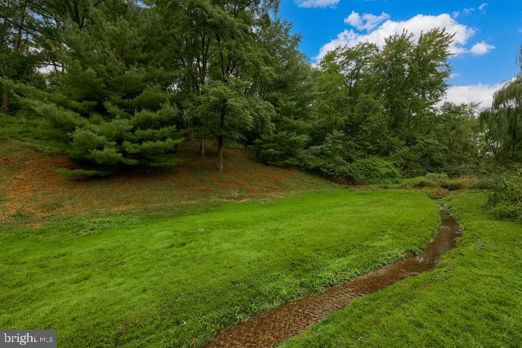 342 Knights Bridge Way Lititz, PA 17543 - Photo 46 of 46 Wetland area