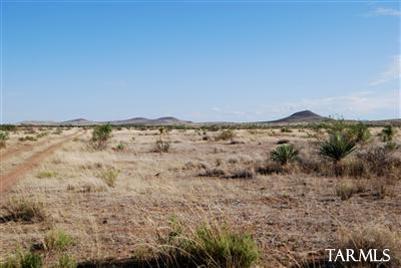 0 East Indian Ridge Road Pearce, AZ 85625 - Photo 10 of 22