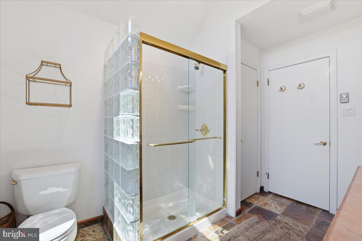 25 Fall Place Union Dale, PA 18470 - Photo 38 of 99 Elegant bathroom with glass shower.