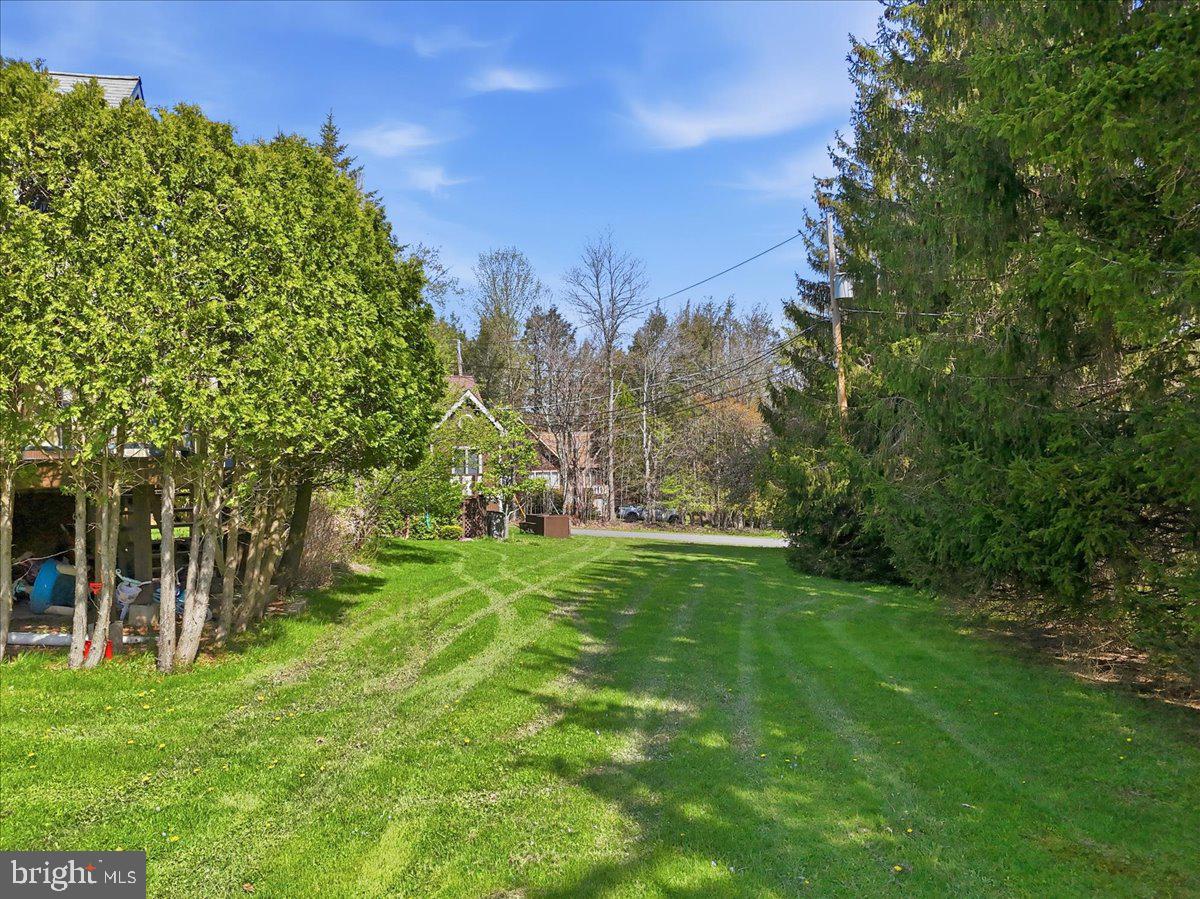 25 Fall Place Union Dale, PA 18470 - Photo 72 of 99 Lush green pathway through serene trees.