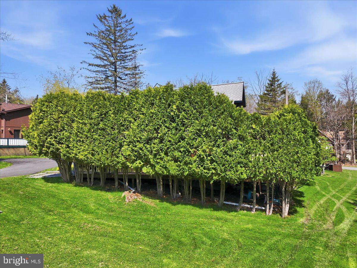 25 Fall Place Union Dale, PA 18470 - Photo 75 of 99 Lush greenery frames a serene retreat.