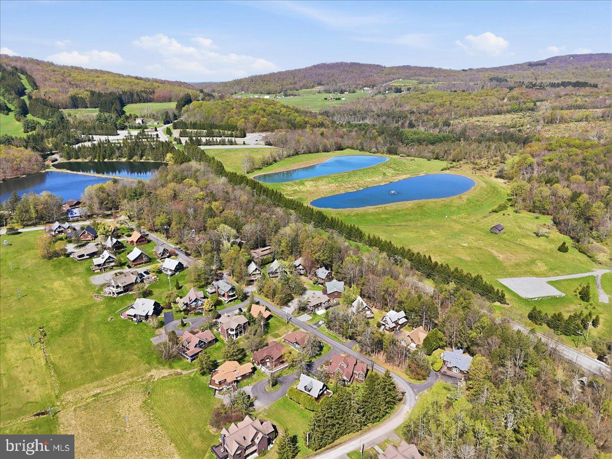 25 Fall Place Union Dale, PA 18470 - Photo 78 of 99 an aerial view of residential houses with outdoor space and river