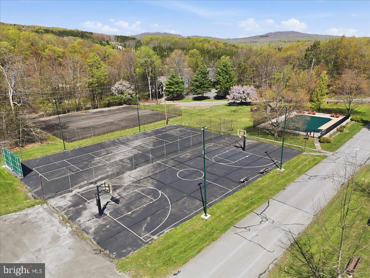 25 Fall Place Union Dale, PA 18470 - Photo 84 of 99 Scenic sports courts in nature's embrace.