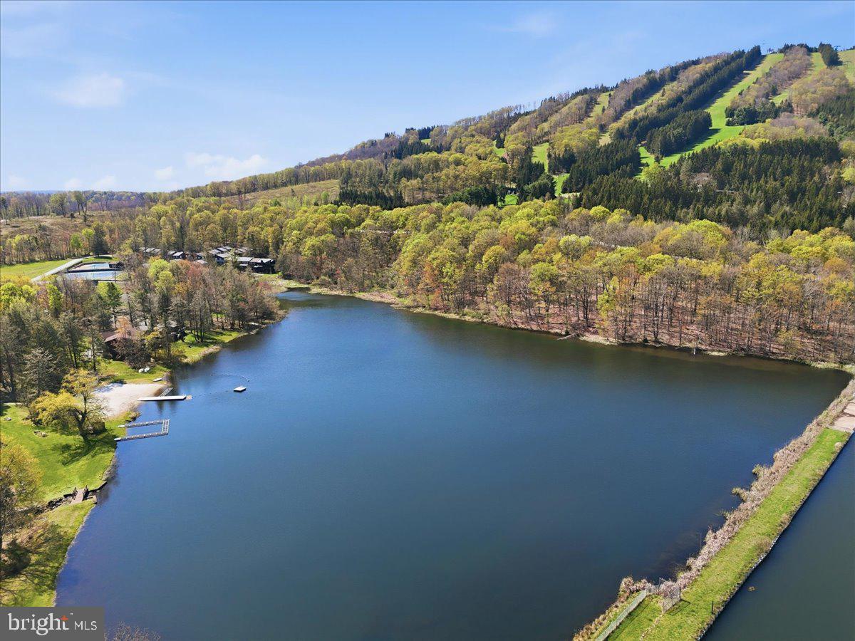 25 Fall Place Union Dale, PA 18470 - Photo 88 of 99 a view of a lake with a mountain in the background