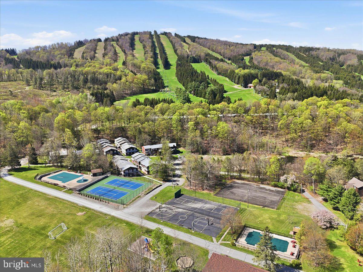 25 Fall Place Union Dale, PA 18470 - Photo 91 of 99 a view of a swimming pool with a yard