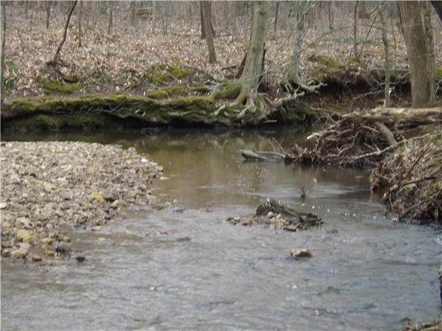 173 Urban Farms Road Manchester, TN 37355 - Photo 5 of 20 a view of a lake with a mountain