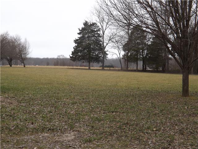 173 Urban Farms Road Manchester, TN 37355 - Photo 6 of 20 a view of outdoor space and yard