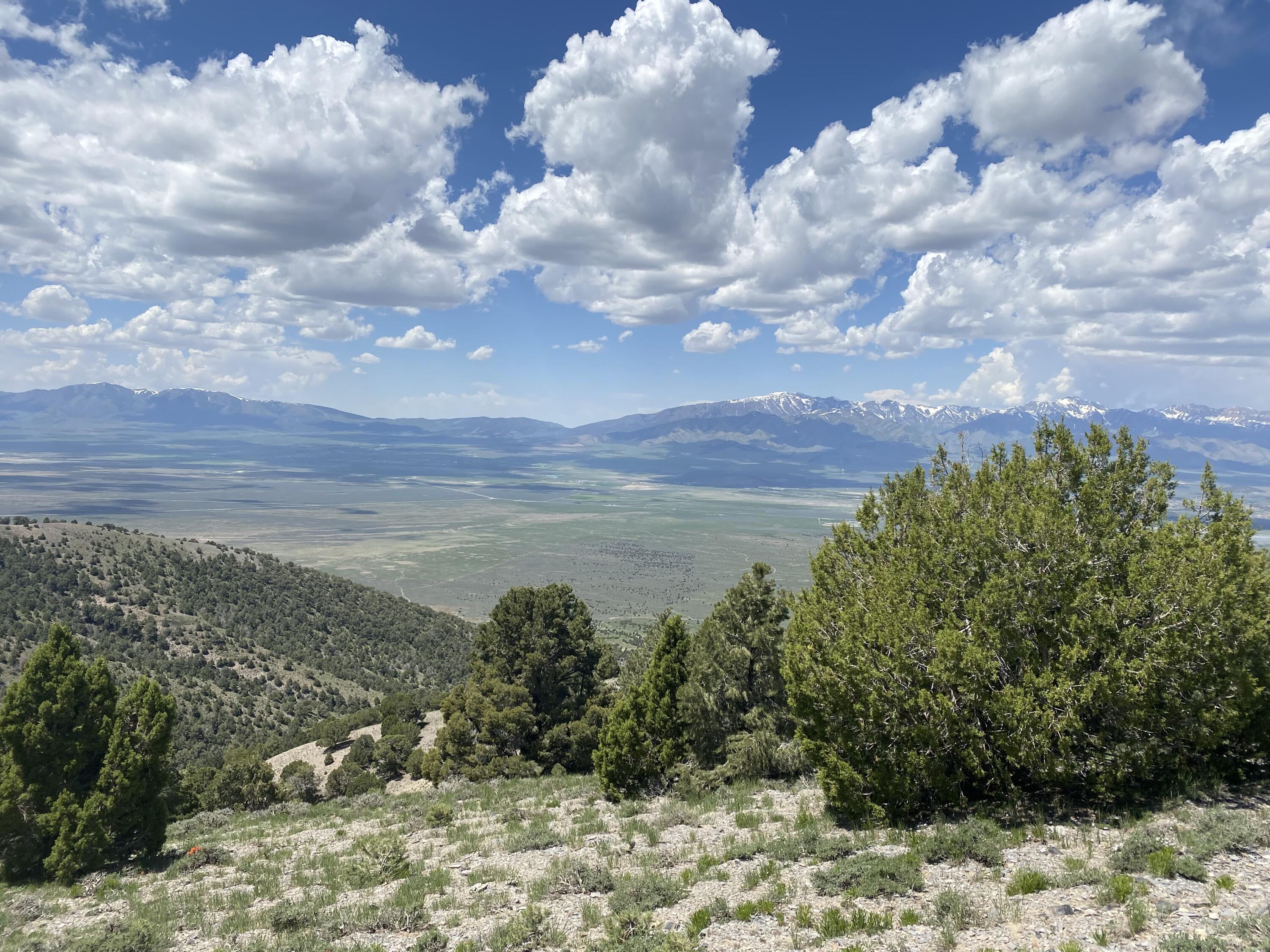 East Bald Mountain Road Stockton, UT 84071 - Photo 14 of 17 IMG_6588