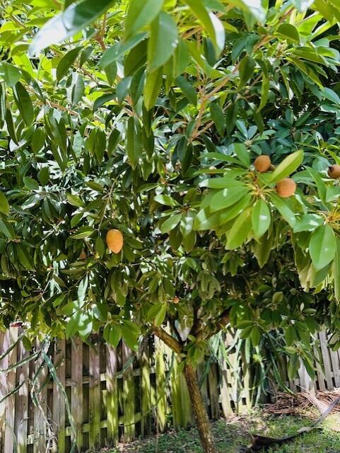 5245 Sancerre Circle Lake Worth, FL 33463 - Photo 43 of 46 a backyard of a house with lots of green space
