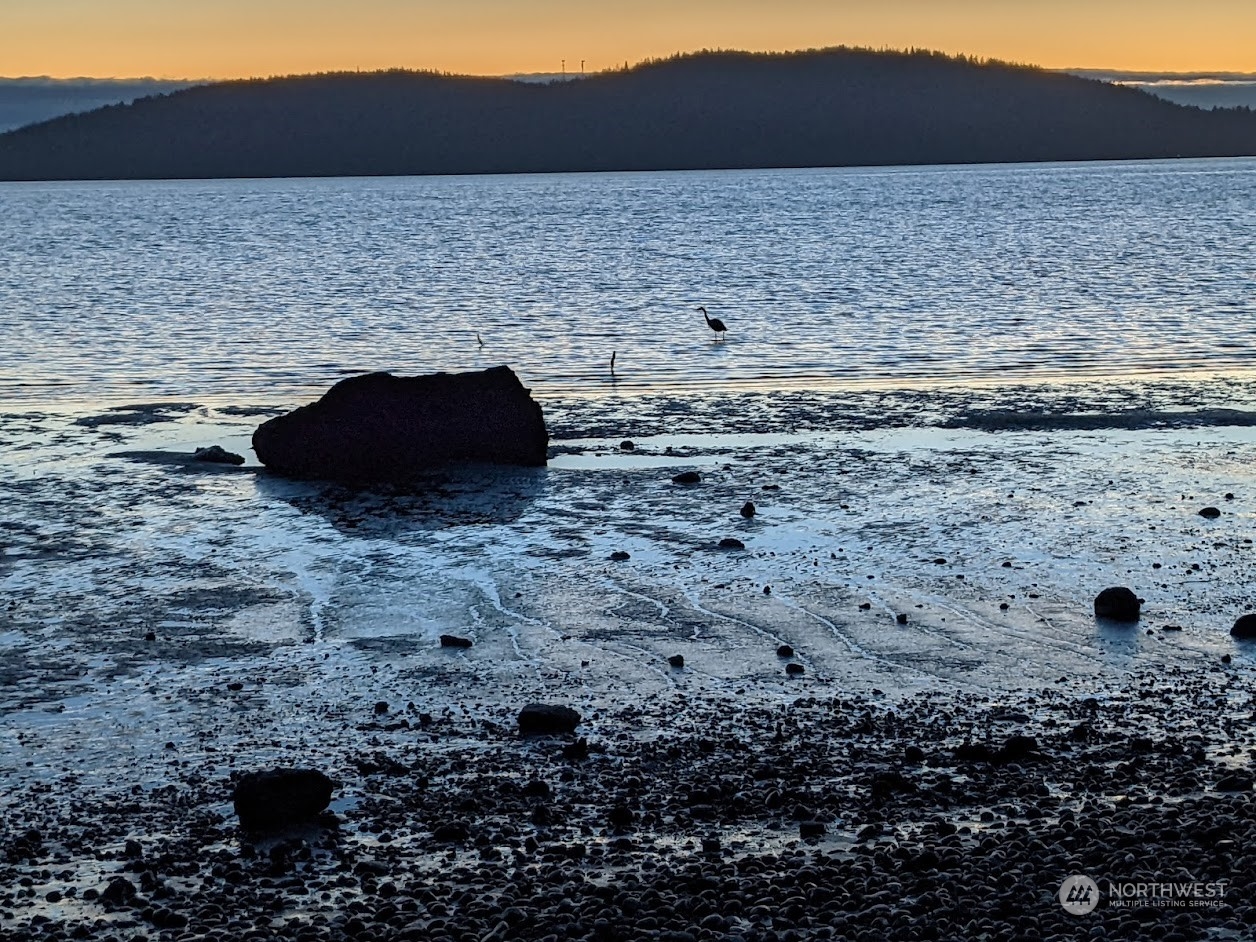 10030 Samish Island Road Bow, WA 98232 - Photo 33 of 36 Gallery Image 33