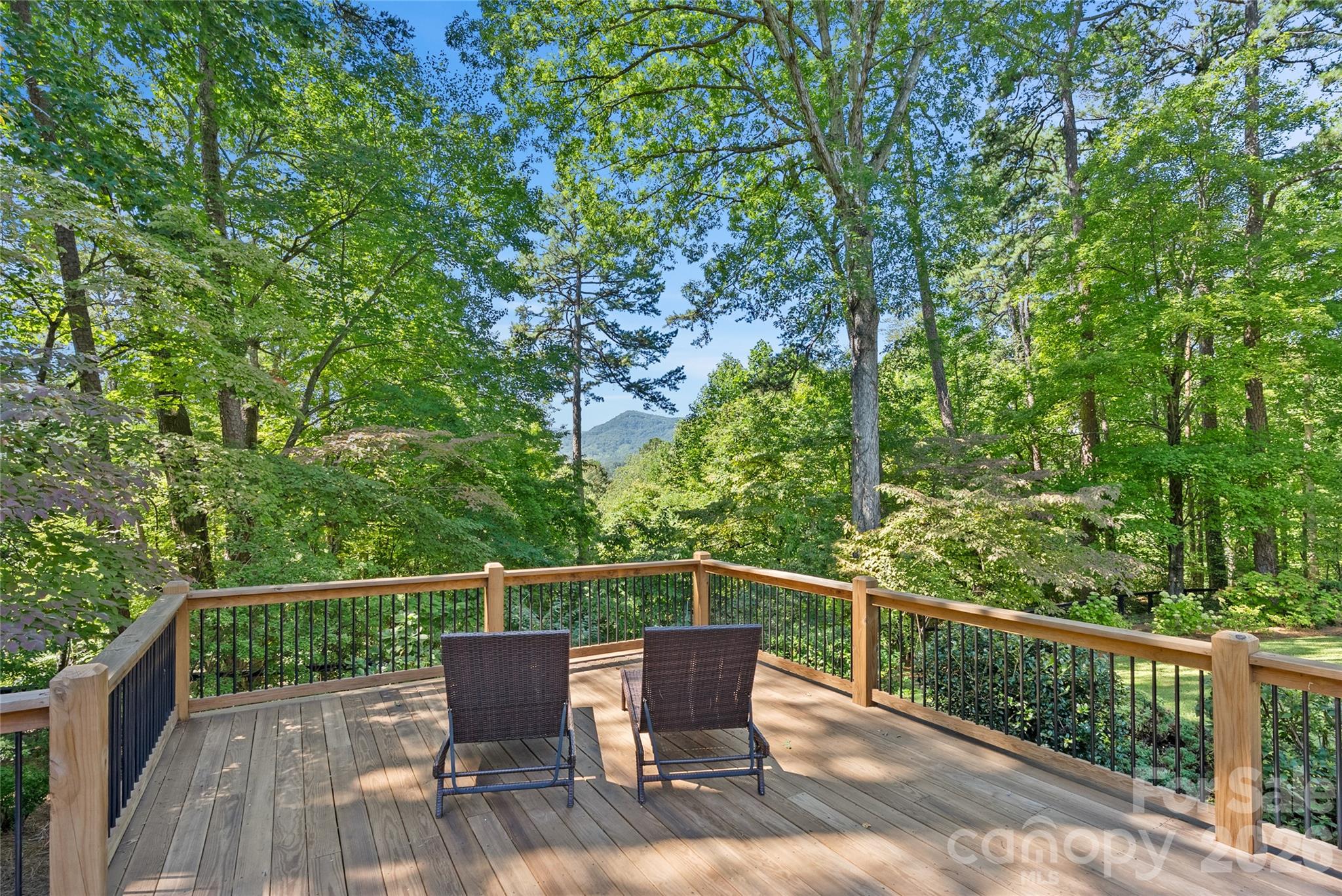 566 Canebrake Road Tryon, NC 28782 - Photo 3 of 24 Gallery Image 3