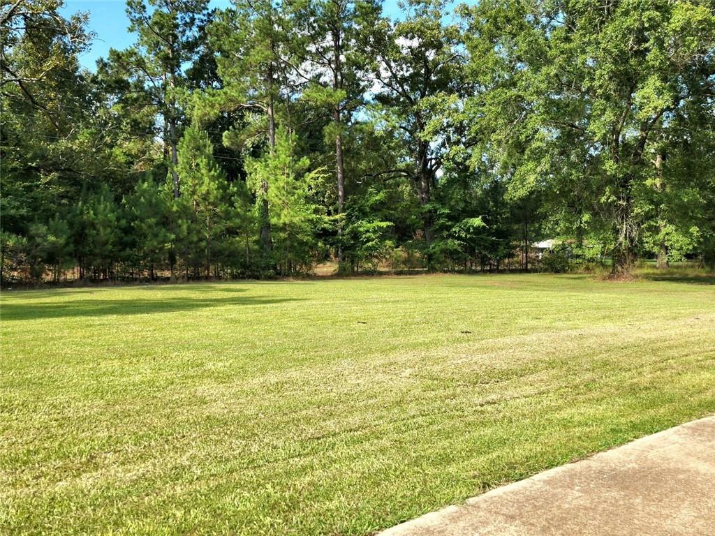 571 Nation Road Deville, LA 71328 - Photo 7 of 44