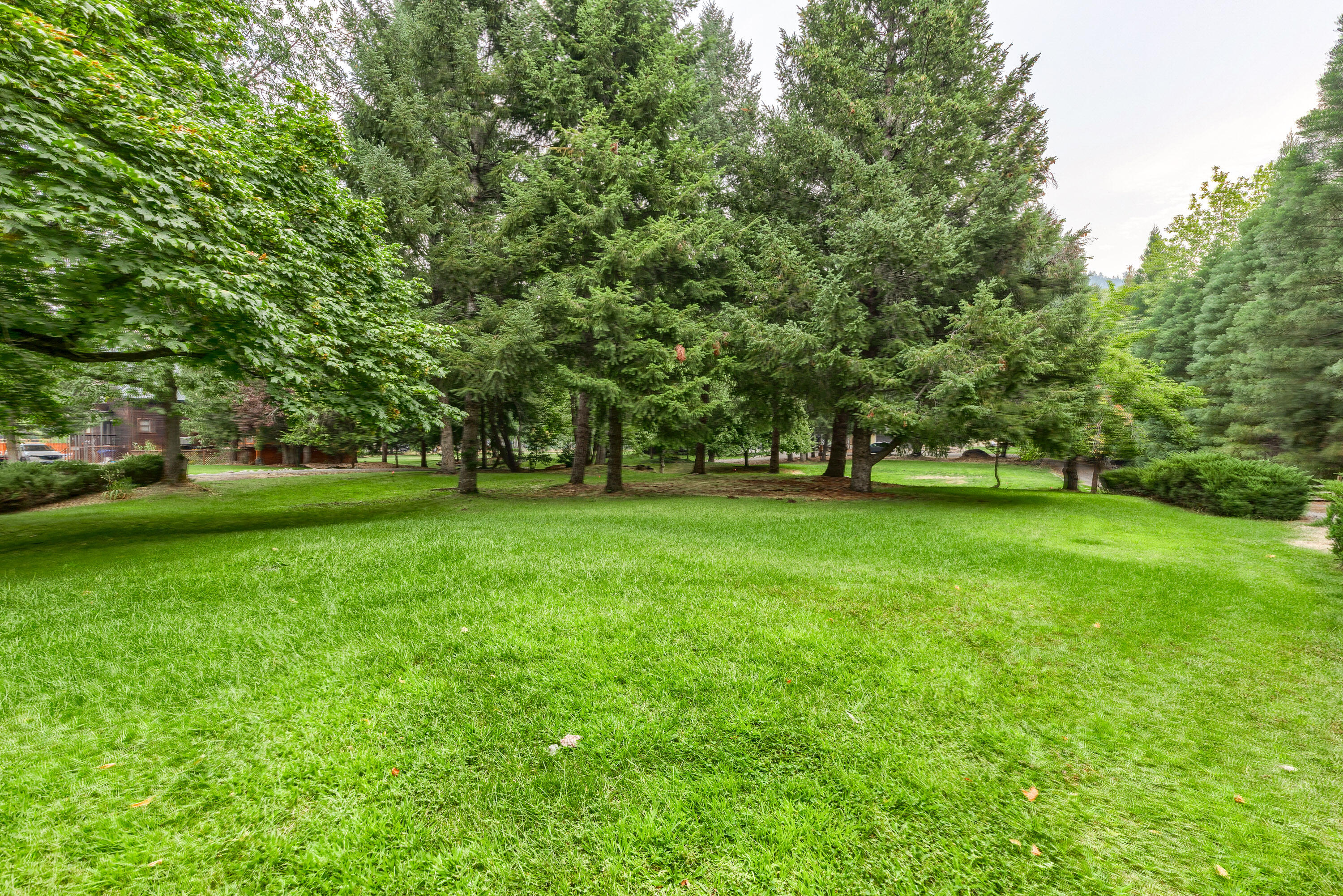 349 Rene Drive Shady Cove, OR 97539 - Photo 5 of 49 RD(20)