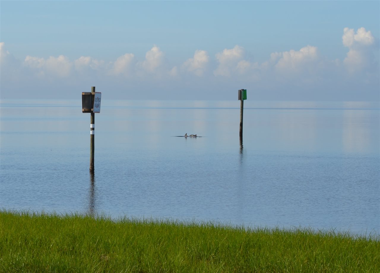 12 Rising Tide Way Crawfordville, FL 32327 - Photo 15 of 26 Gallery Image 15