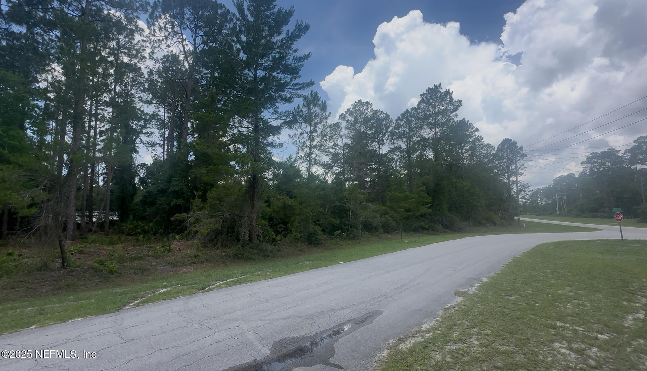 107 Georgetown Point Road Georgetown, FL 32139 - Photo 2 of 14 a view of a park