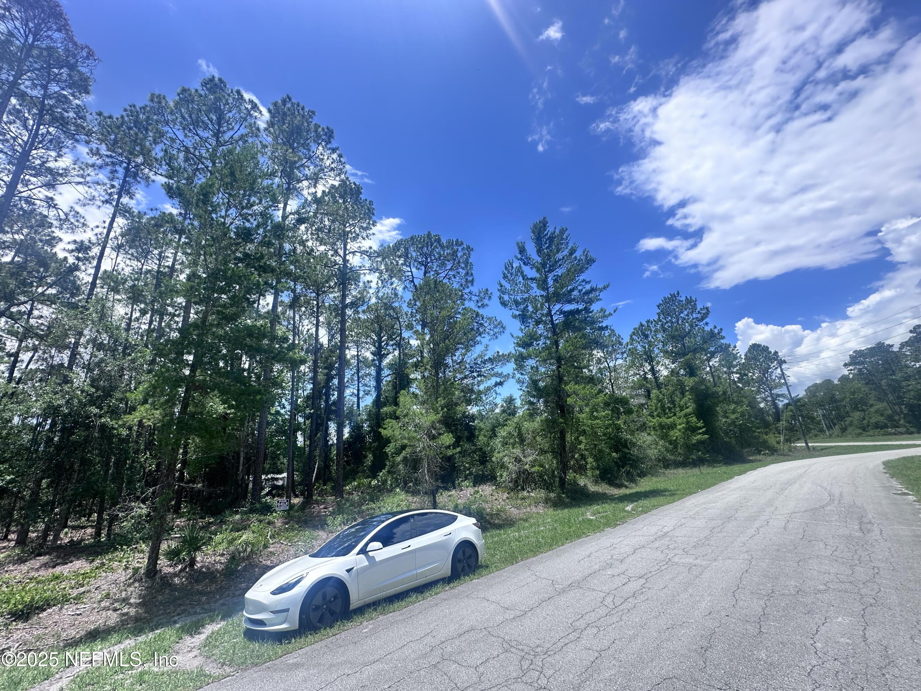 107 Georgetown Point Road Georgetown, FL 32139 - Photo 4 of 14 a car parked on the side of a road