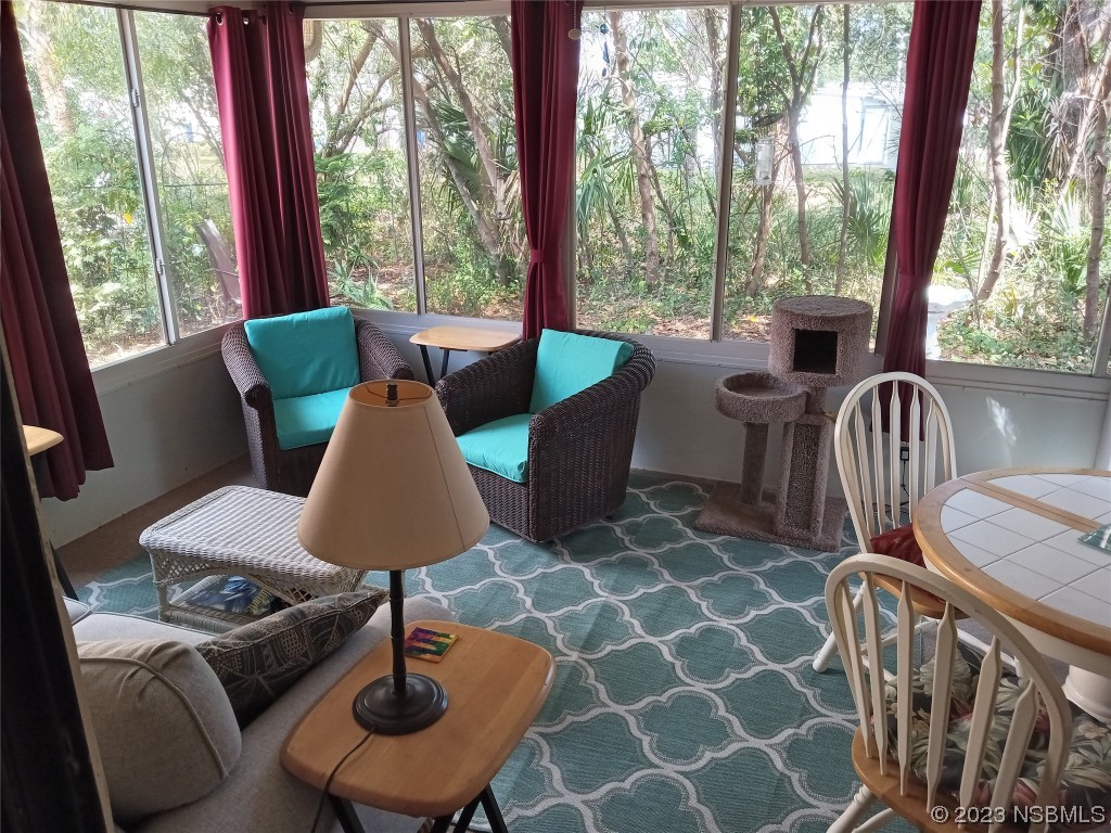 17 Pelican Drive Edgewater, FL 32141 - Photo 4 of 19