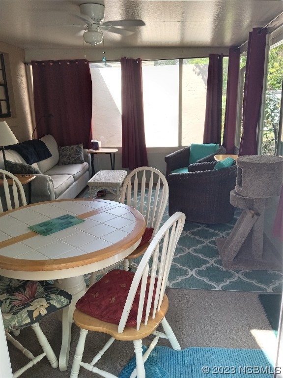 17 Pelican Drive Edgewater, FL 32141 - Photo 8 of 19