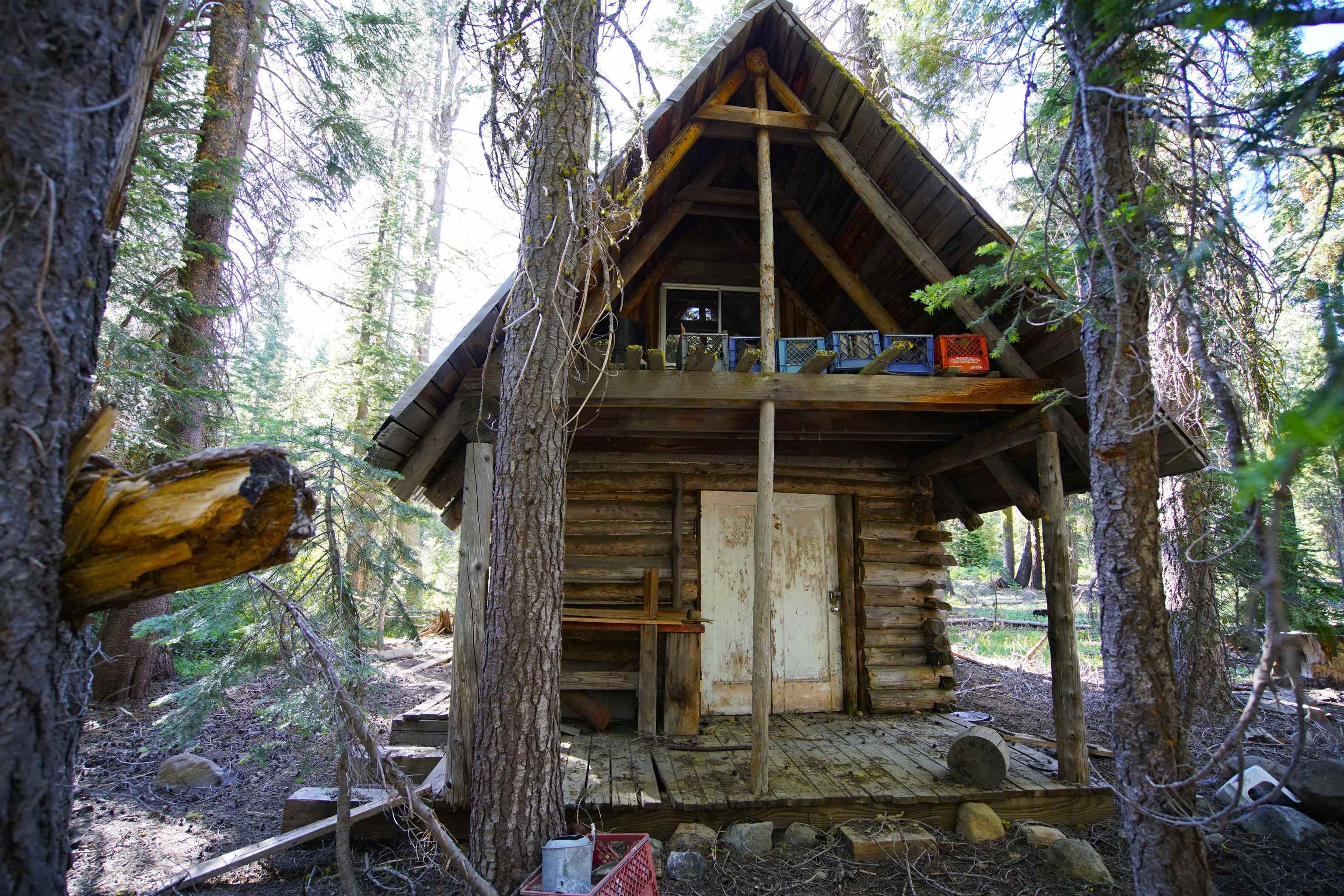 Forest Road Sierra City, CA 96125 - Photo 25 of 26 a front view of a house with a trees