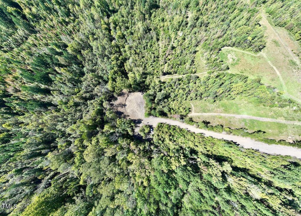 1 Weadon Road Blanch, NC 27212 - Photo 12 of 38 a backyard of a house with a yard and large trees
