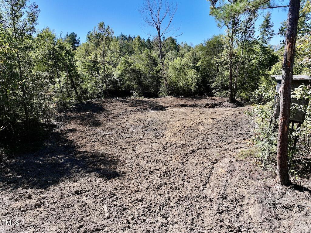 1 Weadon Road Blanch, NC 27212 - Photo 14 of 38 a view of a yard with plants and trees