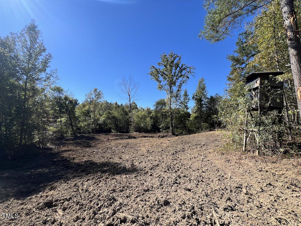 1 Weadon Road Blanch, NC 27212 - Photo 15 of 38 a big yard with lots of green space