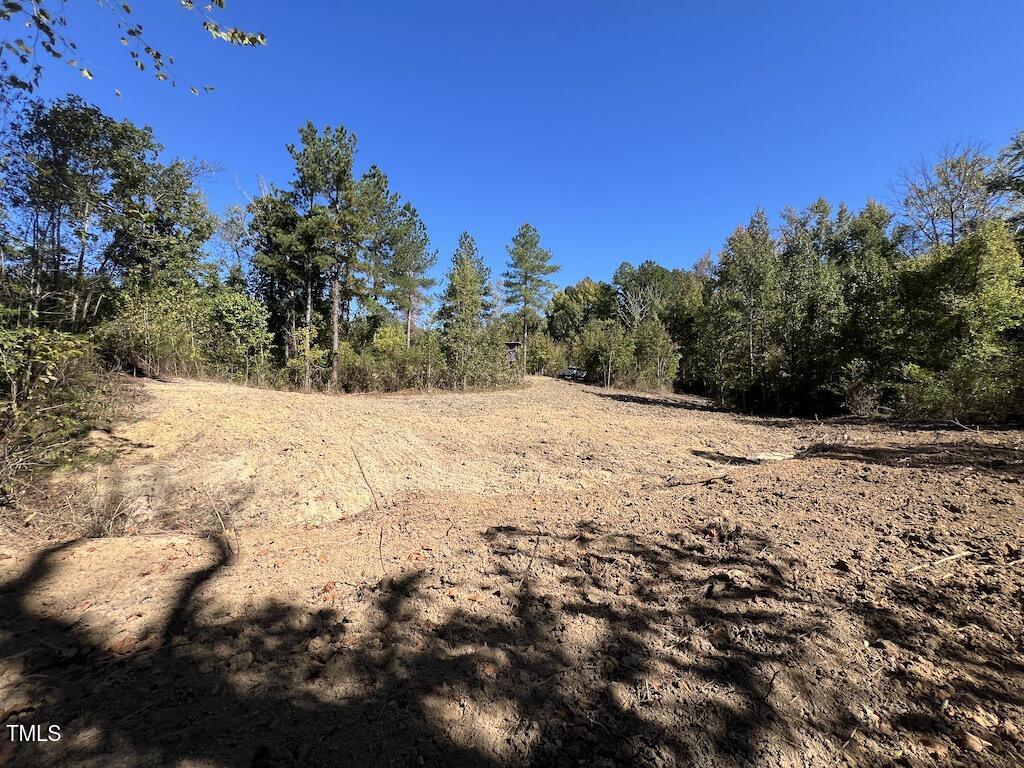 1 Weadon Road Blanch, NC 27212 - Photo 16 of 38 a view of a covered with snow on the road