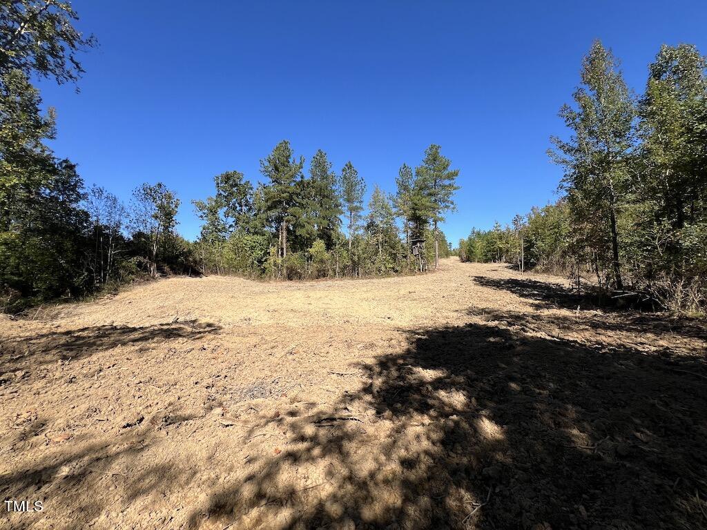 1 Weadon Road Blanch, NC 27212 - Photo 17 of 38 a view of a yard with trees in the background