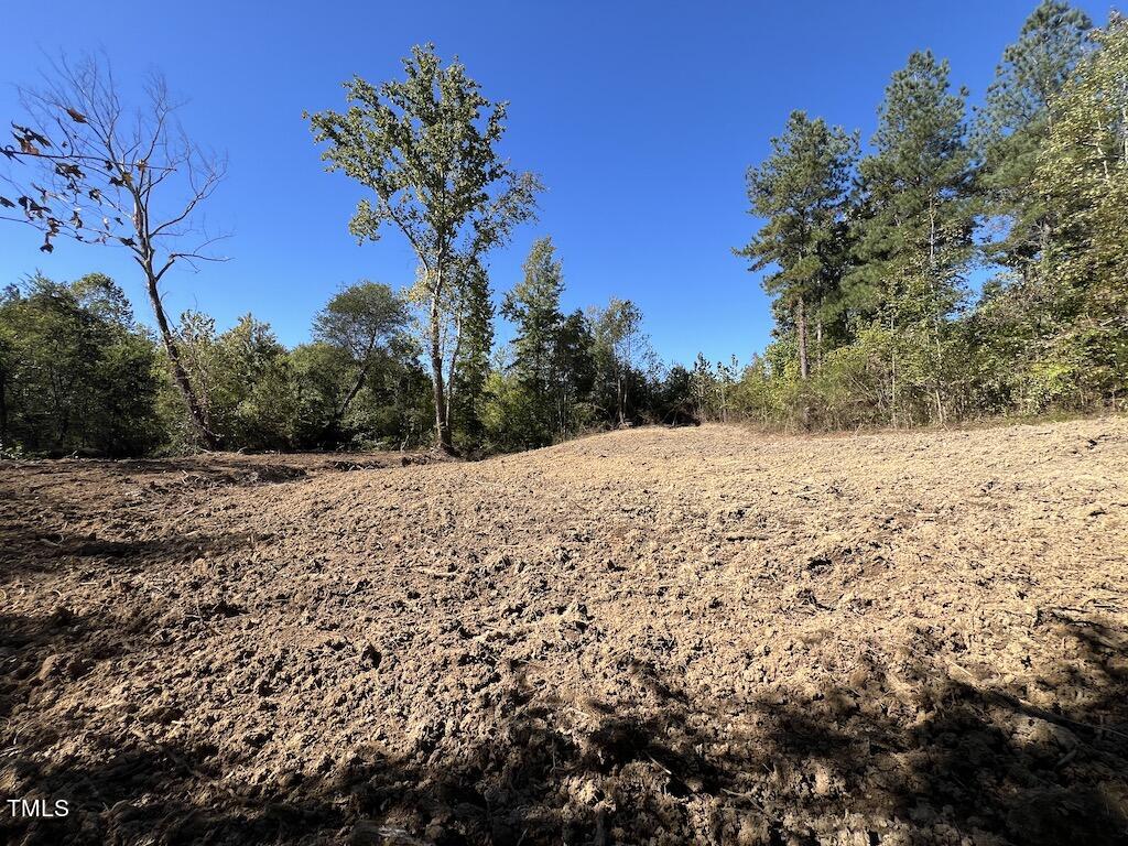 1 Weadon Road Blanch, NC 27212 - Photo 18 of 38 a view of a yard covered with snow in middle of forest