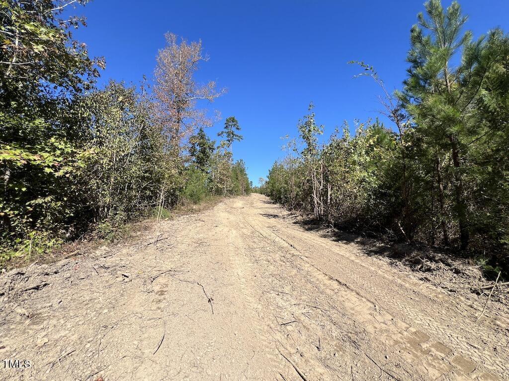 1 Weadon Road Blanch, NC 27212 - Photo 19 of 38 a view of a yard with a tree
