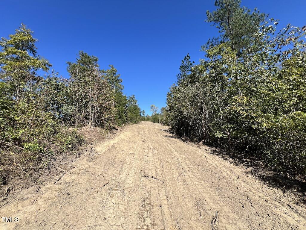 1 Weadon Road Blanch, NC 27212 - Photo 20 of 38 a view of a yard with plants and trees