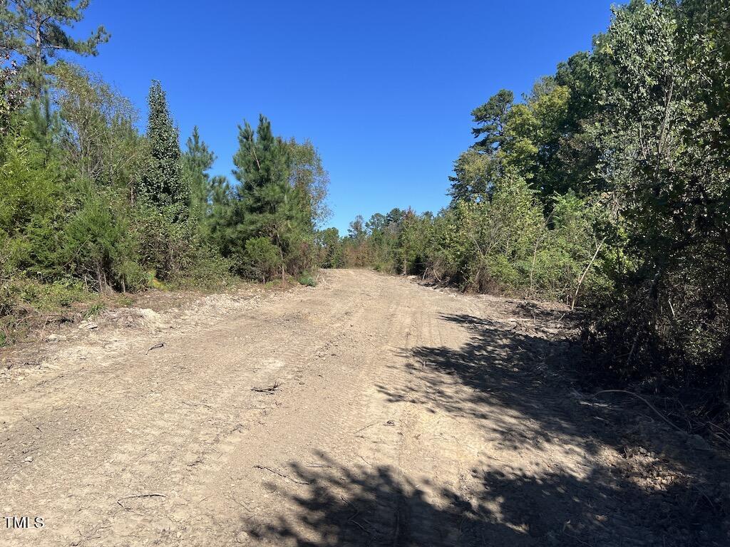 1 Weadon Road Blanch, NC 27212 - Photo 22 of 38 a view of a dirt pathway to a yard