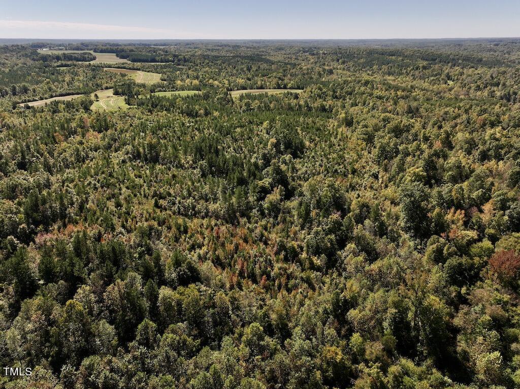 1 Weadon Road Blanch, NC 27212 - Photo 24 of 38 a view of a city with lush green forest