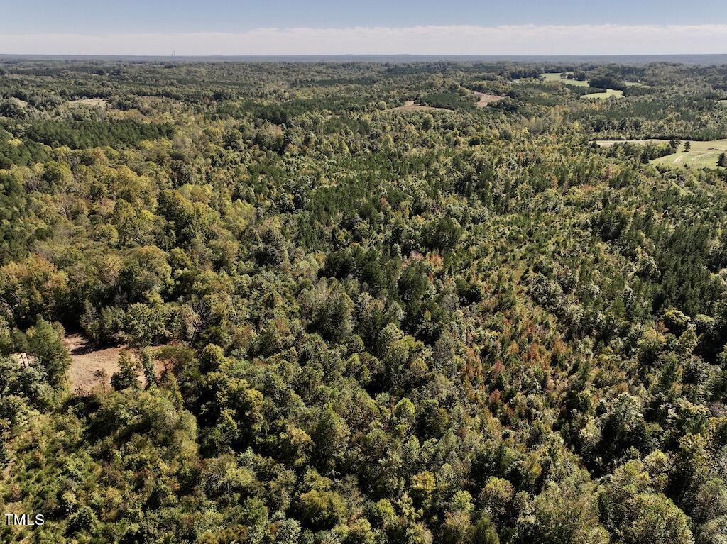 1 Weadon Road Blanch, NC 27212 - Photo 25 of 38 a view of a city with lush green forest