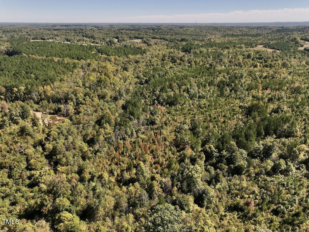 1 Weadon Road Blanch, NC 27212 - Photo 26 of 38 a view of a field with trees in the background