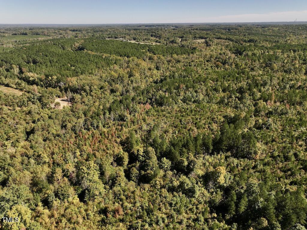 1 Weadon Road Blanch, NC 27212 - Photo 27 of 38 a view of a city with lush green forest