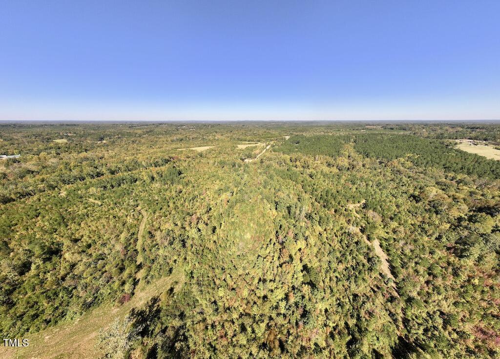 1 Weadon Road Blanch, NC 27212 - Photo 30 of 38