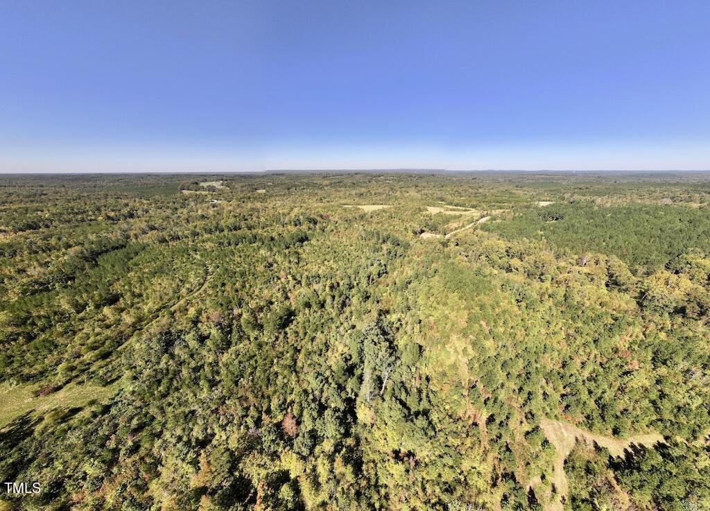 1 Weadon Road Blanch, NC 27212 - Photo 31 of 38