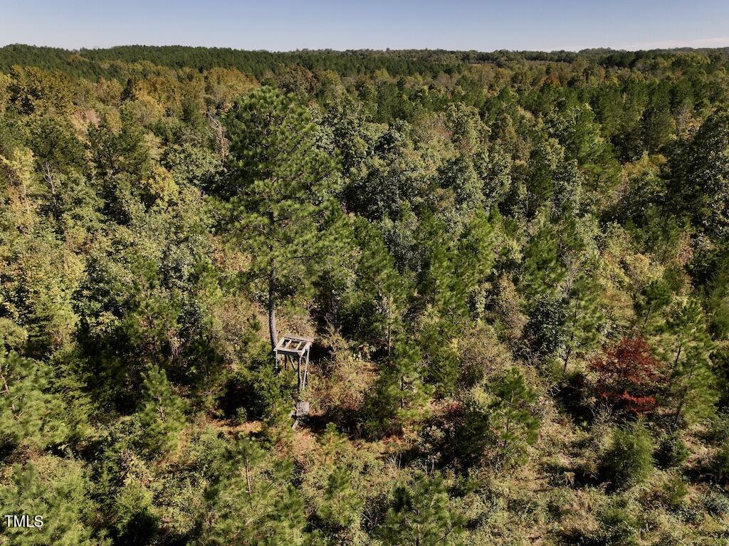1 Weadon Road Blanch, NC 27212 - Photo 34 of 38 a view of a city with lush green forest