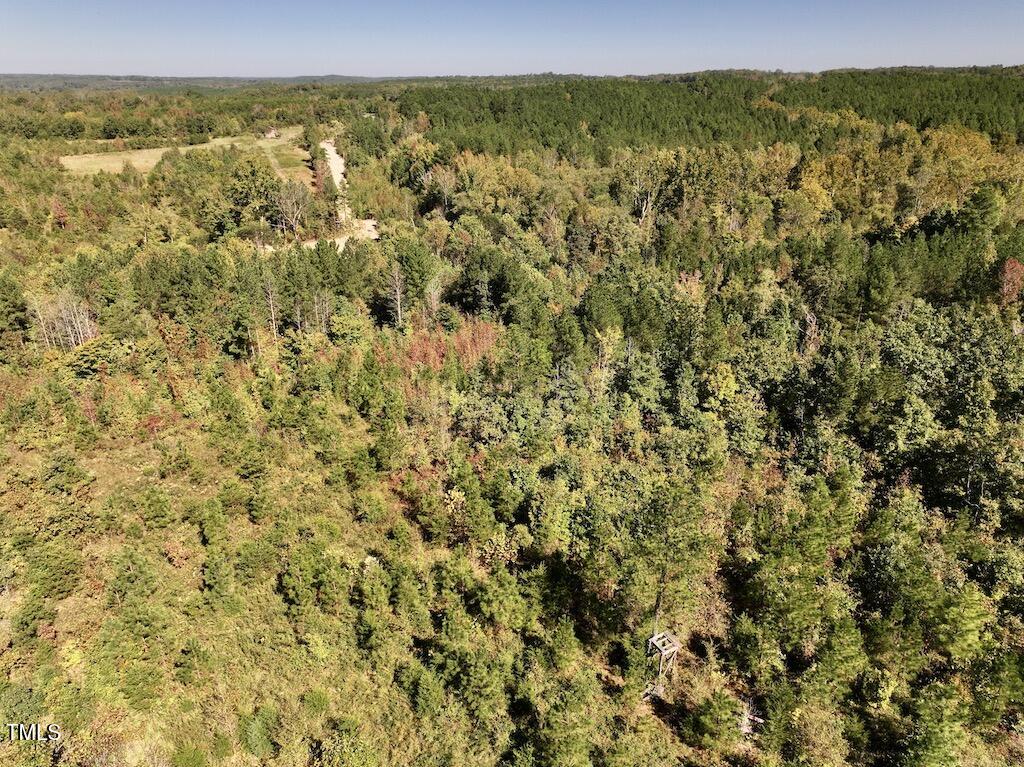 1 Weadon Road Blanch, NC 27212 - Photo 35 of 38