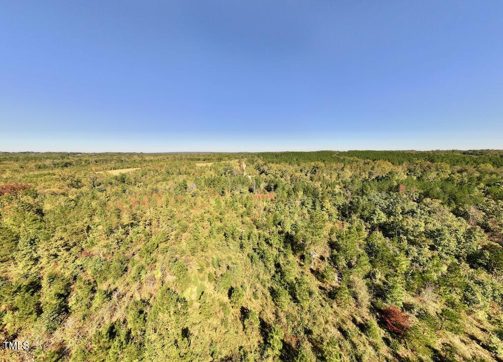 1 Weadon Road Blanch, NC 27212 - Photo 36 of 38