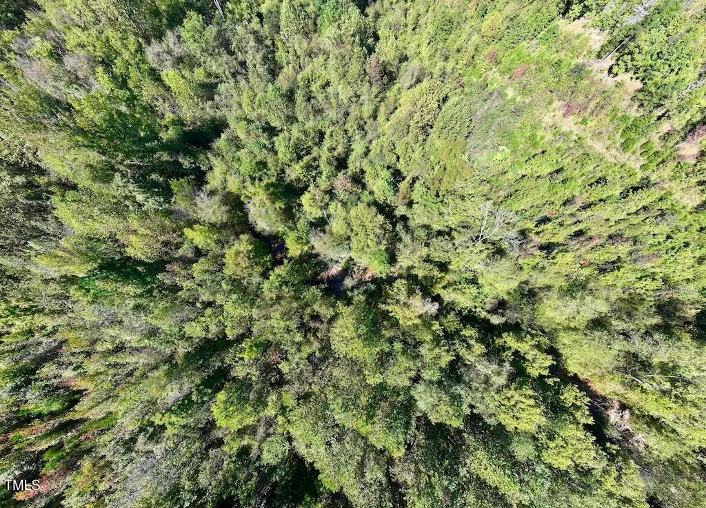 1 Weadon Road Blanch, NC 27212 - Photo 37 of 38 a view of a lush green field