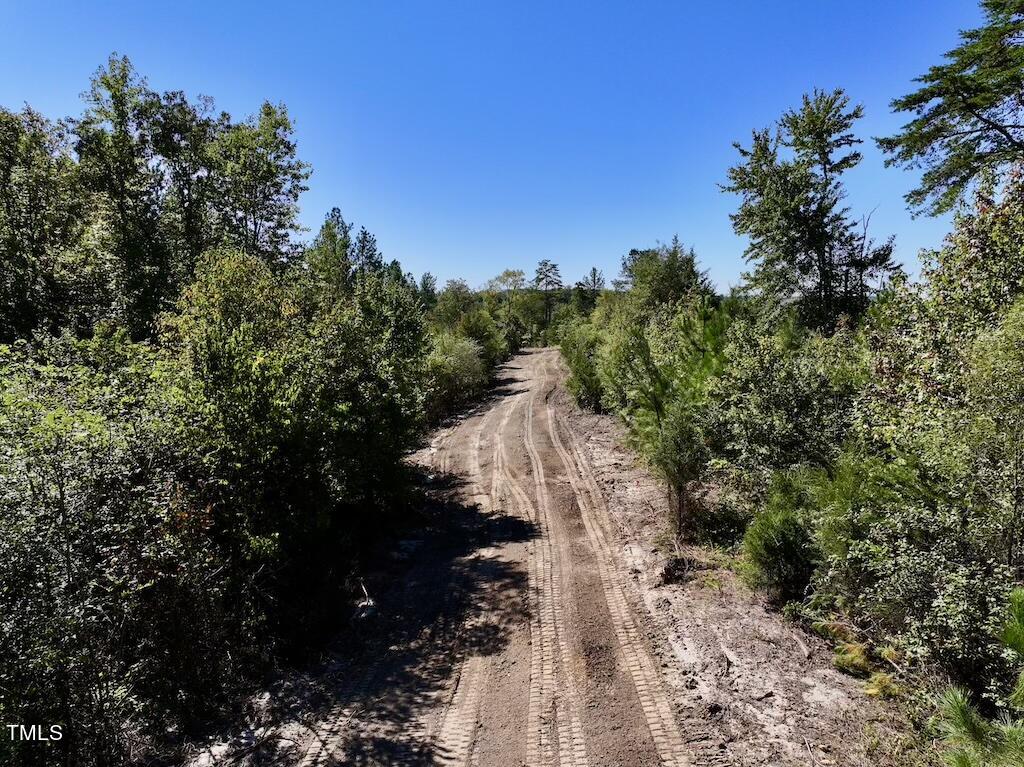 1 Weadon Road Blanch, NC 27212 - Photo 4 of 38 a view of a yard with plants and a trees