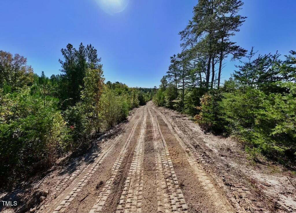 1 Weadon Road Blanch, NC 27212 - Photo 6 of 38 a view of a pathway both side of yard