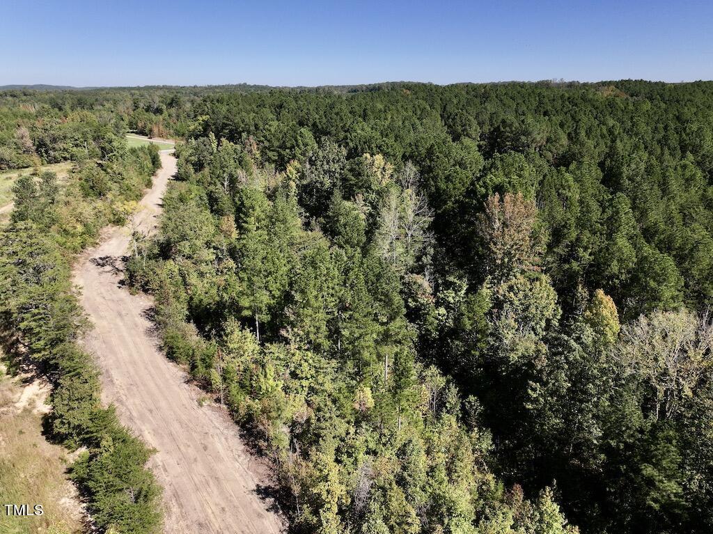 1 Weadon Road Blanch, NC 27212 - Photo 9 of 38 a view of a city with lush green forest