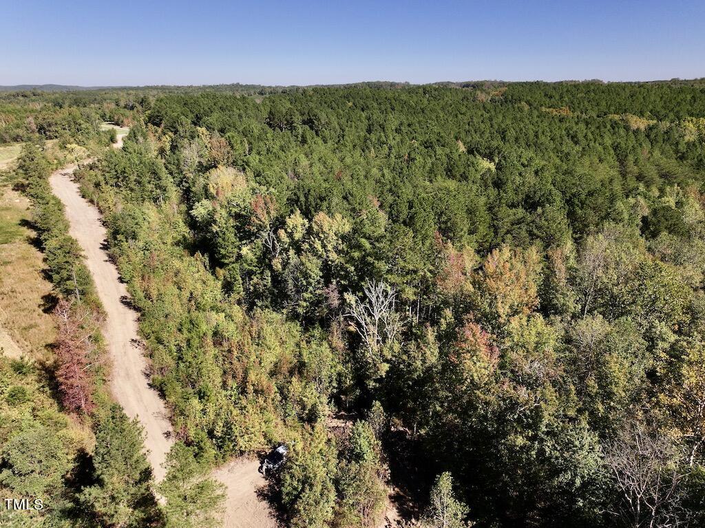 1 Weadon Road Blanch, NC 27212 - Photo 10 of 38 a view of a city with lush green forest