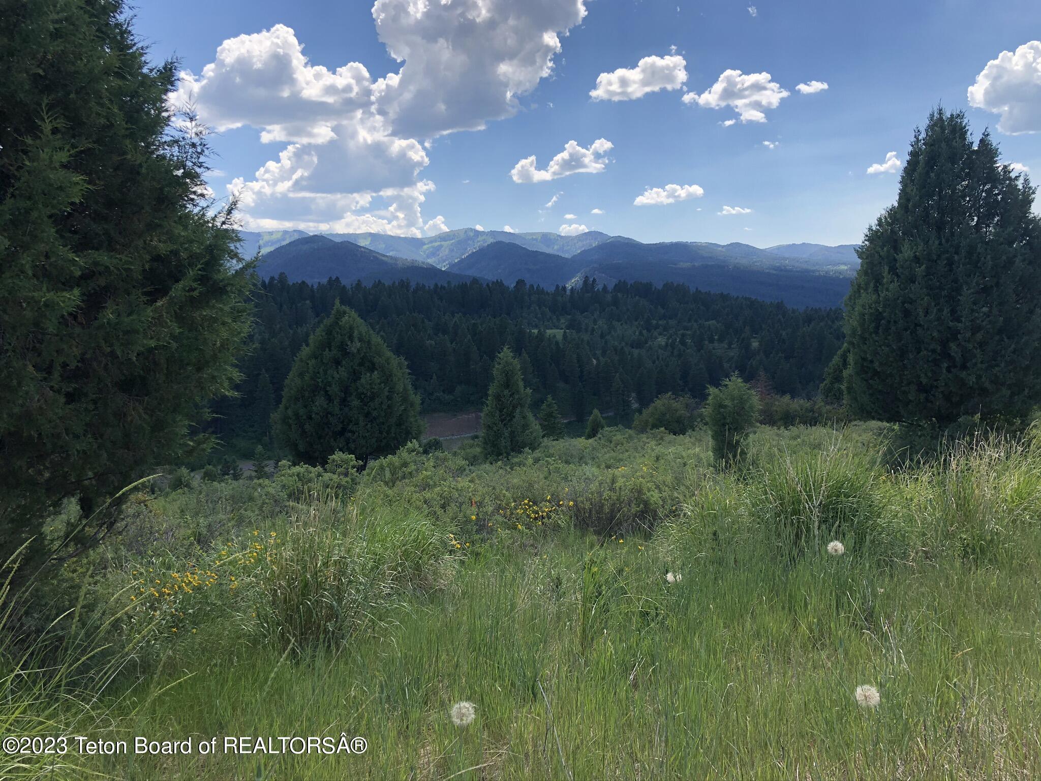 L63-blk4 Cutthroat Run Irwin, ID 83428 - Photo 1 of 1 View from Lot 63-4