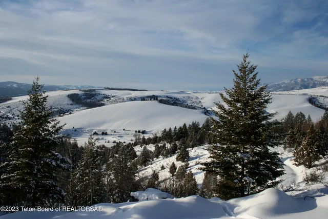 $174,900 | L63-blk4 Cutthroat Run, Irwin, ID 83428